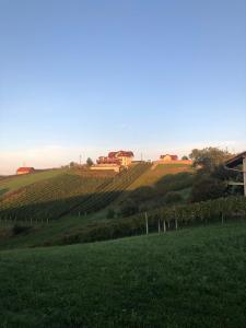 Příroda nedaleko bed and breakfast