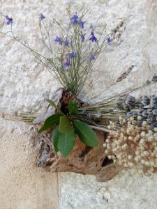 Fotografie z fotogalerie ubytování RUŽA v destinaci Makarska