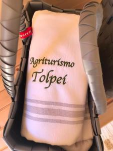 a suitcase with a pillow with the words autoimmune topic at Agriturismo Tolpei in La Valle