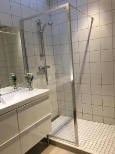 La salle de bains est pourvue d'une douche avec une porte en verre. dans l'établissement La Suite Alain, à Nancy