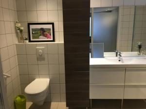 La salle de bains est pourvue de toilettes, d'un lavabo et d'un miroir. dans l'établissement La Suite Alain, à Nancy