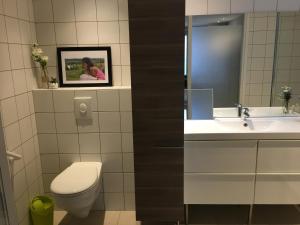 uma casa de banho com um WC, um lavatório e um espelho. em La Suite Alain em Nancy