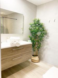 ein Badezimmer mit einem Waschbecken, einem Spiegel und einer Pflanze in der Unterkunft Appart Aldyis in Sprimont