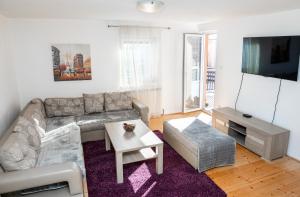 un soggiorno con divano e TV di Forest Paradise - four bedroom villa a Kolašin