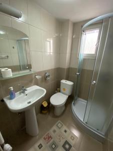 a bathroom with a toilet and a sink and a shower at Casa Cristalina&Dumi in Albac