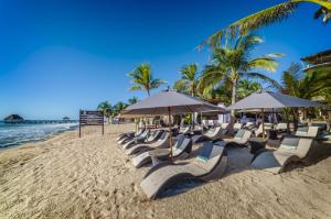 a group of chairs and umbrellas on a beach at Mvngata Beach Hotel in Playa del Carmen