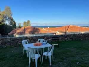 Príroda v okolí dovolenkového domu + 6 fotografií