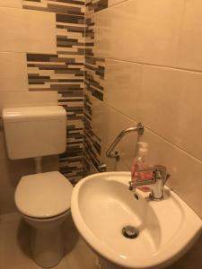 uma casa de banho com um lavatório branco e um WC. em City Center Apartments Hévíz em Hévíz