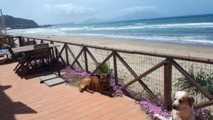 Fotografie z fotogalerie ubytování Rocky & Lia v destinaci Bacoli + 32 fotografií