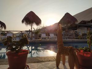 A piscina localizada em Ecocamp Huacachina ou nos arredores