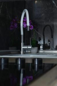 a kitchen sink with a faucet and purple flowers at Apartman "Park" in Livno +22 photos