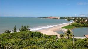 a view of a beach with palm trees and the ocean at Aldeia das Flores - Hostel e Camping in Jacumã +26 photos