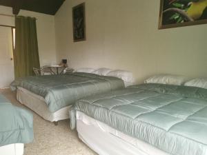 
a bedroom with two beds and a desk at Casona del Valle in Potrerillos
