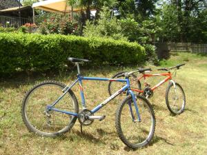 two bikes parked in the grass in a yard at Ai Vecchi Crateri in SantʼAlfio