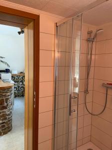 a shower with a glass door in a bathroom at Ferienwohnungen Behling am Schufutsberg in Liepe