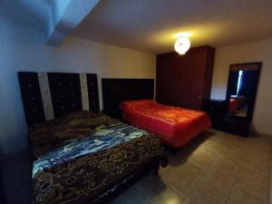 a bedroom with two beds in a room at Toluca Centrica House in Toluca