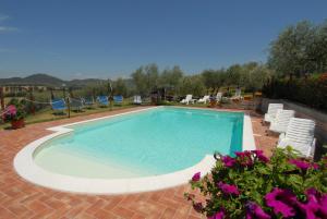 een groot zwembad met stoelen en bloemen bij La Piaggiola degli Olivi in Panicale