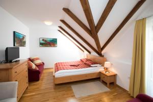 TV a/nebo společenská místnost v ubytování Art Hotel Kristal