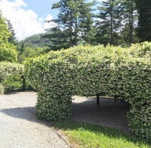 A garden outside Il Bosco di Campo Marzano green & sky