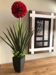 Fotografie z fotogalerie ubytování Torrevieja - Caballero de Rodas 173 v destinaci Torrevieja