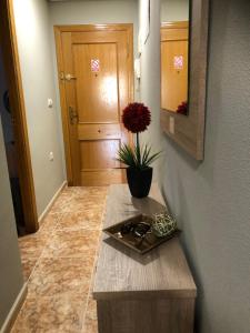 Fotografie z fotogalerie ubytování Torrevieja - Caballero de Rodas 173 v destinaci Torrevieja