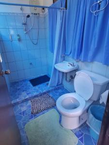 La salle de bains bleue est pourvue de toilettes et d'un lavabo. dans l'établissement Mirisbiris Garden and Nature Center, à Santo Domingo