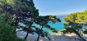 a view of a beach with trees and the water at Holiday Village Sagitta - Light All Inclusive in Omiš