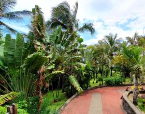 a path through a garden with palm trees at Loc974 Les Cocotiers in Saint-Leu