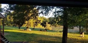 Camping les Lacs d'Armagnac外面的花园