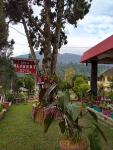a view of a tree with plants in a yard at Hotel Olibert Parapat Ajibata Mitra RedDoorz in Parapat