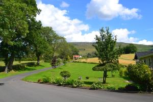 widok na trawnik z drzewami i drogą w obiekcie Campsie Glen Holiday Park w mieście Fintry