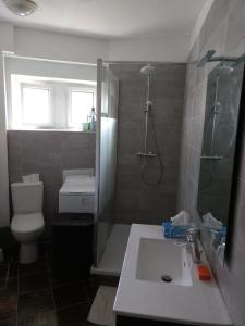 a bathroom with a sink and a shower and a toilet at Appartement centre-ville proche lac et thermes in Thonon-les-Bains