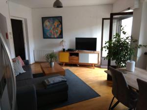 a living room with a couch and a tv at Appartement centre-ville proche lac et thermes in Thonon-les-Bains