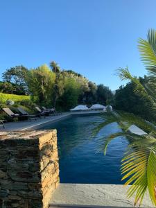 una piscina en un patio con una palmera en Villa Milanu, en Oletta