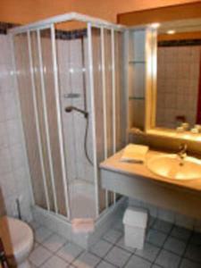 ein Bad mit einer Dusche, einem Waschbecken und einem WC in der Unterkunft Familiengeführtes Hotel mit Restaurant in Lanken