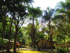 Kebun di luar El Bosque Hotel