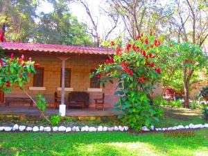Kebun di luar El Bosque Hotel