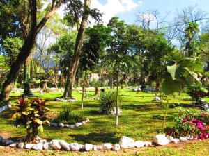 Kebun di luar El Bosque Hotel