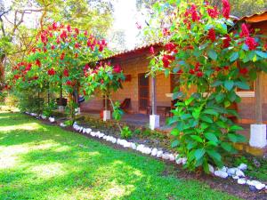 Kebun di luar El Bosque Hotel