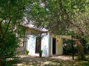 a white house with a window and a tree at Aloja Merlo - Conectá con la naturaleza in Merlo