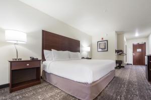 Una habitación de hotel con una cama grande y un escritorio. en Cobblestone Inn & Suites - Holdrege, en Holdrege 22 fotos más