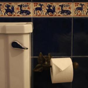 a toilet with a roll of toilet paper in a bathroom at Hotel Portofoz in Porto