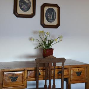 a wooden desk with a potted plant on top of it at Hotel Portofoz in Porto