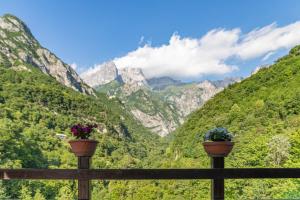 a view of the mountains from a fence with flowers at Hotel Al Verde in Mandello del Lario +10 photos