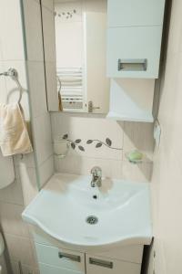 a bathroom with a white sink and a mirror at M&Stic in Vrdnik +29 photos