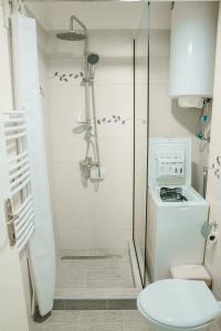 a bathroom with a shower and a toilet at M&Stic in Vrdnik