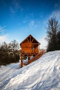 a wooden cabin on a snowy hill with a snow covered slope at Szalejówka Domki in Kłodzko