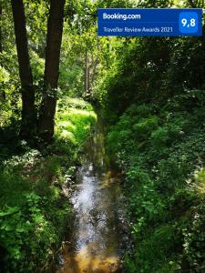 un ruisseau au milieu d'une forêt dans l'établissement De Eppenbeek, à Swalmen