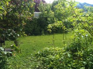 アヌシーにあるStudio Alpinsの緑の芝生と木々が植わる庭