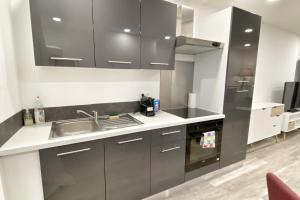 a kitchen with gray cabinets and a sink at Le Grand Frontalier in Terville